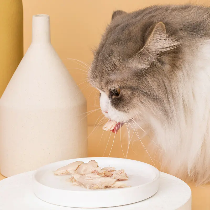 Pabrik grosir makanan basah hewan peliharaan OEM ODM kaleng makanan ringan kucing anjing banyak rasa