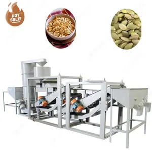 Industrial Pakistan Pine Nut Hemp Seeds Melon Pumpkin Seeds Processing Machine