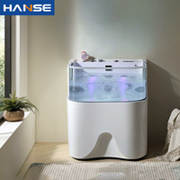 Baignoire autoportante en acrylique pour animaux de compagnie avec système thermostatique pour salon professionnel d'animaux et utilisation en hydrothérapie