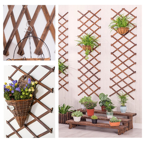 Lot <span class=keywords><strong>de</strong></span> 2 treillis muraux extensibles en bois, support <span class=keywords><strong>de</strong></span> jardin pour plantes grimpantes d'extérieur, décoration murale verticale pour plantes d'intérieur - Product Image 2