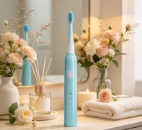 Brosse à dents électrique sonique OEM pour voyage et usage domestique, chargement USB Type-C, 6 modes, commande à un bouton, poils souples pour protéger les gencives