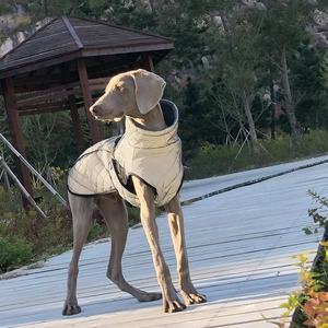बड़े कुत्तों के लिए लक्जरी पॉलिएस्टर कुत्ते के कपड़े केवल गर्मियों के उपयोग के लिए कुत्ते के कपड़े गर्मियों के लिए - Product Image 4