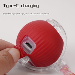 Wholesale Indoor <strong>Cat</strong> Interactive Ball <strong>Toy</strong> With Elastic Net Tail Automatic Moving Ball <strong>Toy</strong> Activation Electric <strong>Cat</strong> <strong>Toy</strong> - Product Image 4