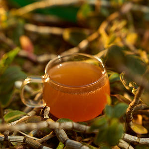 有機デンドロビウム・オフィシナーレピューレオリジナル飲料 90%含有 無糖 無脂肪 - Product Image 2