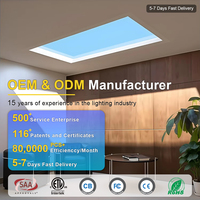 Éclairage LED de plafond simple pour garage, cuisine, salon, passage, salle de bain, hôtel, appartement, lumière naturelle ciel bleu soleil