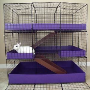 Cages à lapins solides et sûres recyclables de haute qualité - Product Image 2