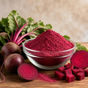 Poudre d'extrait de racine de betterave 3% de nitrate, qualité alimentaire, naturelle sauvage, Beta Vulgaris, ingrédient botanique à base de plantes - Product Image 3