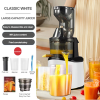 LGO 220V Multifunctionele professionele slowjuicer van roestvrij staal voor juicebars