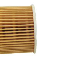 Filtre à huile de voiture LR001247 1109.X3 1373069 est utilisé pour les filtres à huile de moteur de voiture