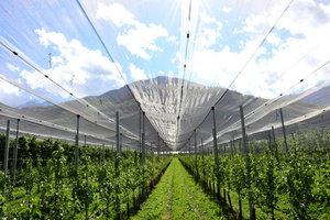 Hex Quad chéo trắng HDPE bóng râm Lưới trồng nho bảo vệ chống mưa đá <span class=keywords><strong>Net</strong></span> - Product Image 3