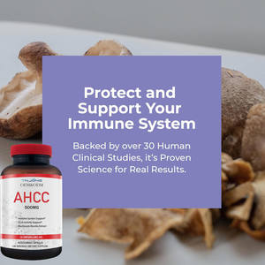 El mejor precio, suplemento en polvo de Ahcc, cápsulas de extracto de hongo Shiitake, extracto de hongo <span class=keywords><strong>Kinoko</strong></span> Platinum Ahcc, cápsulas de Ahcc de 500mg - Product Image 5