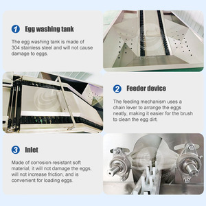 เครื่องทำความสะอาดแปรงล้างไข่เป็ดเค็มแบบอุตสาหกรรม orme เครื่องทำความสะอาดแปรงไข่ไก่ - Product Image 5