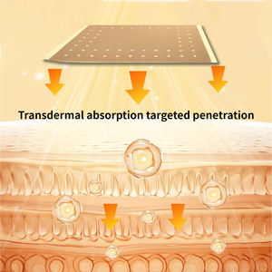 Penjualan Terbaik Cina Koyo terapi rehabilitasi kesehatan atasan Arthritis Koyo bawah sakit inframerah jauh - Product Image 5