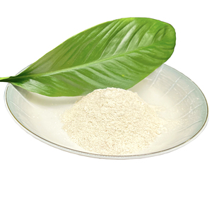 Rici nhà sản xuất số lượng lớn giá thấp hơn ánh sáng nung magiê Oxit bột <span class=keywords><strong>MgO</strong></span> 85 CAS 1309 - Product Image 5