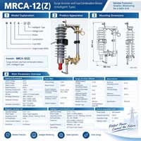 Dispositif combiné de protection contre les surtensions intelligent MRCA-12(Z) personnalisé pour les projets d'alimentation à moyenne tension
