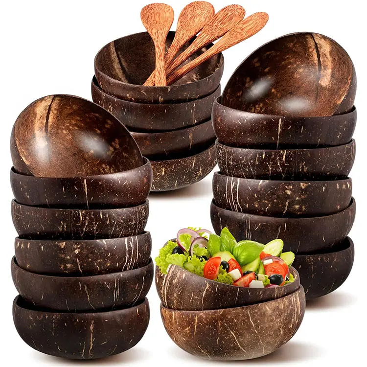 Hot selling coconut bowl custom logo nature wood shell bowl sustainable serving bowl set