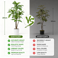 Arbre artificiel réaliste de type Toon chinois à feuilles pinnées, bonsaï de sol pour hôtels et centres commerciaux, sans entretien