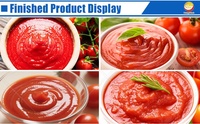Ligne complète de production de ketchup de tomate à concentration ORME entièrement automatique