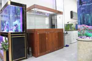 <span class=keywords><strong>ตู้</strong></span><span class=keywords><strong>ปลา</strong></span>แก้วทรงสี่เหลี่ยมทันสมัยหรูหราเป็นมิตรกับสิ่งแวดล้อมสำหรับห้องนั่งเล่น พร้อมปั๊มน้ำ 25 วัตต์ ทนทาน ทำความสะอาดง่าย สวยงาม - Product Image 3