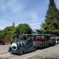 Train sans rails électrique de 29 places, importé pour les attractions de Chine, parc d'attractions, train sans rails pour la cour, à vendre