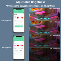 Bande lumineuse LED néon intelligente WS2811 RGB RGBW, contrôlable par application, Wi-Fi et télécommande, pour enseignes lumineuses de magasins et lettres lumineuses en néon.