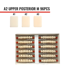 Dientes de Resina Sintética A1 A2 A3, Dientes Postizos Acrílicos para Laboratorio Dental, <span class=keywords><strong>Dentadura</strong></span> Postiza Extraíble <span class=keywords><strong>Superior</strong></span> e Inferior - Product Image 6