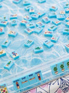 Blue Coast Luxury <b>Entertainment</b> Acrylic Mahjong Set 160Pcs Folding Legs Portable Packaging in Stock Clearance - Product Image 4