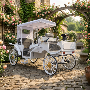 รถม้าไฟฟ้าสำหรับชมวิวกลางแจ้งแบบปรับเปลี่ยนได้ 6 ที่นั่ง สีขาว คุณภาพสูง ขายดี - Product Image 1