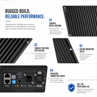 Module d'amplificateur audio bi-amplifié de classe D actif professionnel X2DM800-2 800W DSP 15 pouces