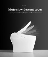 WC intelligent monobloc en céramique, design européen, à poser au sol, avec chasse automatique, nettoyage électrique à distance et siphon en S