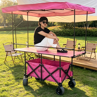 Chariot de camping pliable multifonctionnel avec auvent, roues tout-terrain, chariot de vente mobile pour marché nocturne, stand de rue, événements pique-nique