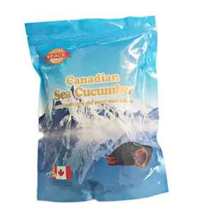 Özelleştirilmiş gıda sınıf Zip-kilit plastik dondurulmuş gıda denizhıyarı ambalaj çanta