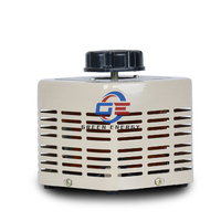 Transformateur Variable monophasé série TDGC Variac 220v 110V régulateur de tension automatique d'entrée