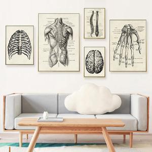 Organes du <span class=keywords><strong>corps</strong></span> <span class=keywords><strong>humain</strong></span> et pièces de squelette analyse affiche toile peinture moderne décoration de la maison peinture en gros - Product Image 2