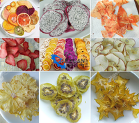 Roestvrij Staal 24 Trays Elektrische Verwarming Voedsel Fruit Groente Droger Dehydrator