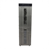 Séchoir Commercial Industriel pour Fruits et Aliments, 32, 48, 80, 96 Plateaux, en Acier Inoxydable, pour Fruits, Légumes et Viandes, Machine Déshydratante Alimentaire
