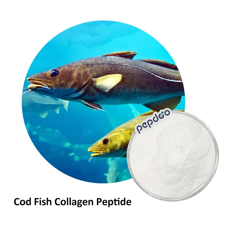 Marine Fish Collagen Oligopeptide pure marine collagen peptide Protein Hydrolyzed Fish Collagen Powder