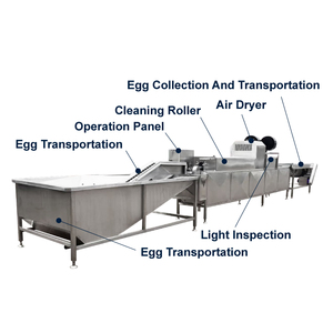 5000-14000 pcs/h hiệu quả cao Tự động thép không gỉ quy mô lớn trứng sạch trứng máy giặt máy giặt trứng máy giặt và máy sấy - Product Image 2