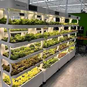 Cultivador hidropónico individual <span class=keywords><strong>con</strong></span> sistema inteligente de <span class=keywords><strong>cultivo</strong></span> de luz <span class=keywords><strong>LED</strong></span> - Product Image 6