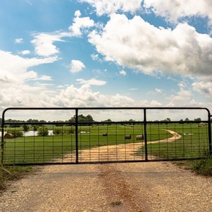 Panel de Cerca para Ganado Producido en Fábrica, Puerta para Animales de Granja, Puerta de Cerca para Ganado, para Madera, Hierro, Acero Industrial - Product Image 5