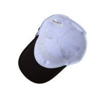 Ustomized-Gorro con estampado para niños, gorra transpirable con bordado de lengua de pato y logotipo dimensional de Panda