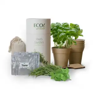 Eco Tuinman Kruid Tuin Kit Naye Tool Set Schattige Tuinieren Geschenken Voor Wome Outils Giet Herbes Set