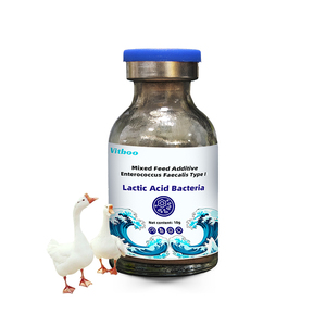Vitboo Probióticos en Polvo para Pescado, Camarón, Complejo Probiótico para Animales Acuáticos, <span class=keywords><strong>Lactobacillus</strong></span> Powder - Product Image 4