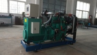 Direkter Werksverkauf 50kW Erdgas-Biogas-Syngas-Generatorset Bürstenloser Erreger Hocheffizientes Stromerzeugungsgerät