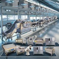 Best Verkopende Automatische Industriële Voedselverwerkende Lijn Nieuwe Friteuse Voor Chips Bevroren Frietjes Groente Fruit Verwerking