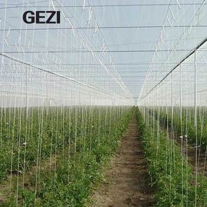 Meilleure solution pour installer une moustiquaire transparente pour couvrir les plantes de tomates dans un tunnel polyvalent - Product Image 4