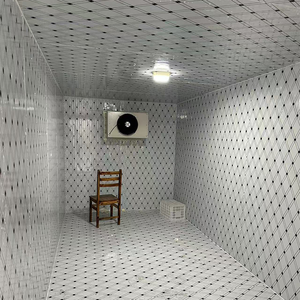 Réfrigérateur à marche lente à haute isolation pour aliments congelés avec un puissant système de réfrigération industrielle - Product Image 1