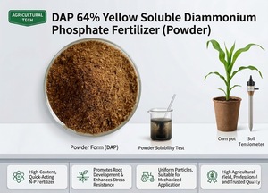 <span class=keywords><strong>Engrais</strong></span> granulaire soluble jaune DAP 64% Phosphate de diammonium <span class=keywords><strong>Engrais</strong></span> DAP 18-46-0 - Product Image 2