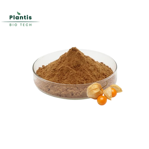 ผง Physalis angulata 10:1สกัดเครื่องสำอางใช้ผง Physalis angulata - Product Image 2