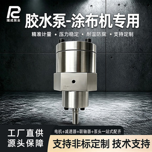 Pompe à colle Ruicheng 6,5 mm en acier inoxydable haute précision pour application de revêtement - Product Image 3